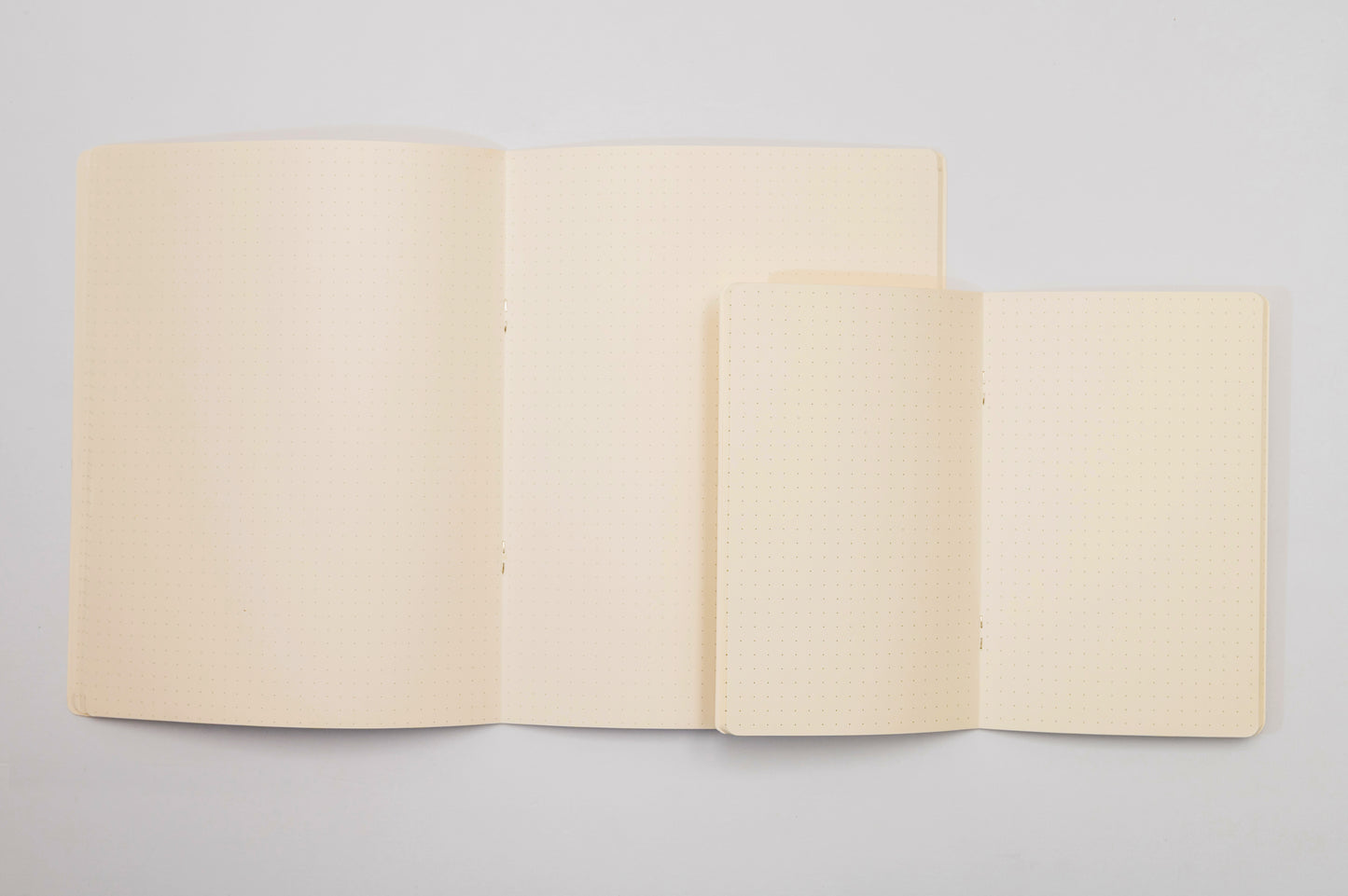 Point Taken - dot grid